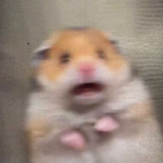 等不到有你的冬天