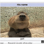 ImUrMemeDaddy