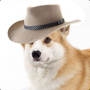 Corgi_Life