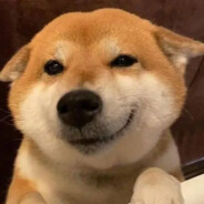 开T-34的花花斯基