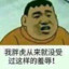 你能拿我怎么样