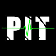 P i t™ - steam id 76561198811741475