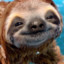 Happy Sloth