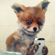 Укуриная лиса