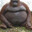 Monke