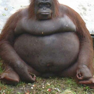 Monke