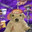 Barry McCockinner avatar