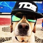 cachorro_doido