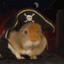 Guinea Pirate