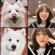 亿点霉老鼠阿根廷球玉