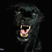 KFOR - steam id 76561199520007653