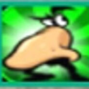 pipo