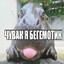 Бегемотик 2009
