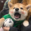 先輩、すごいですね