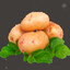 POTATO