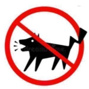 狂踹瘸子的好腿