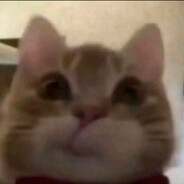 mirk
