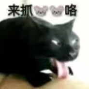 小马永远跑第一