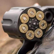 ❀人称花花太岁一支桃