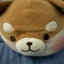 贵冰犬
