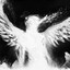Angel ?