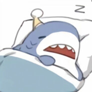 在睡觉的小鲨鱼