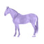 purple horse