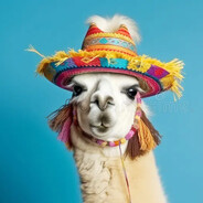 PARMALAT LHAMA SKINS