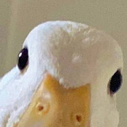quack