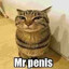 Mr penis