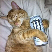 I love pussie's