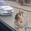 мустафа