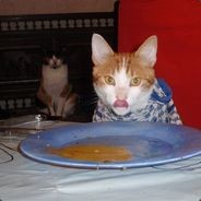 КОРОЛЕВА ТУРКОВ