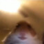 QWOZ
