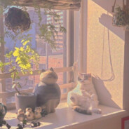 沃德·基巴亨达