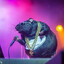 Mr. Boombastic