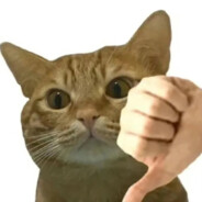 我不喜欢海和浪