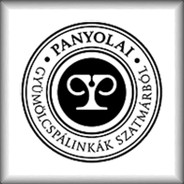 Panyszi