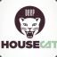 House cat