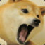 ANGRY_DOGE_ATTACK