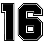 16 avatar