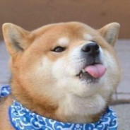 大王叫我来巡山