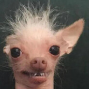 GG