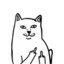 catly:(