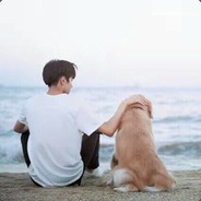 帐号以被封不要相信任