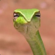 Judgemental_Shoelace