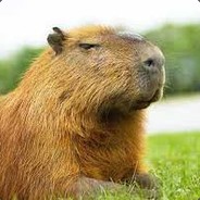 СВИНЬЯ КАПИБАРА