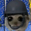 Pingu