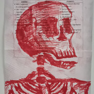Skelly