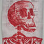 Skelly